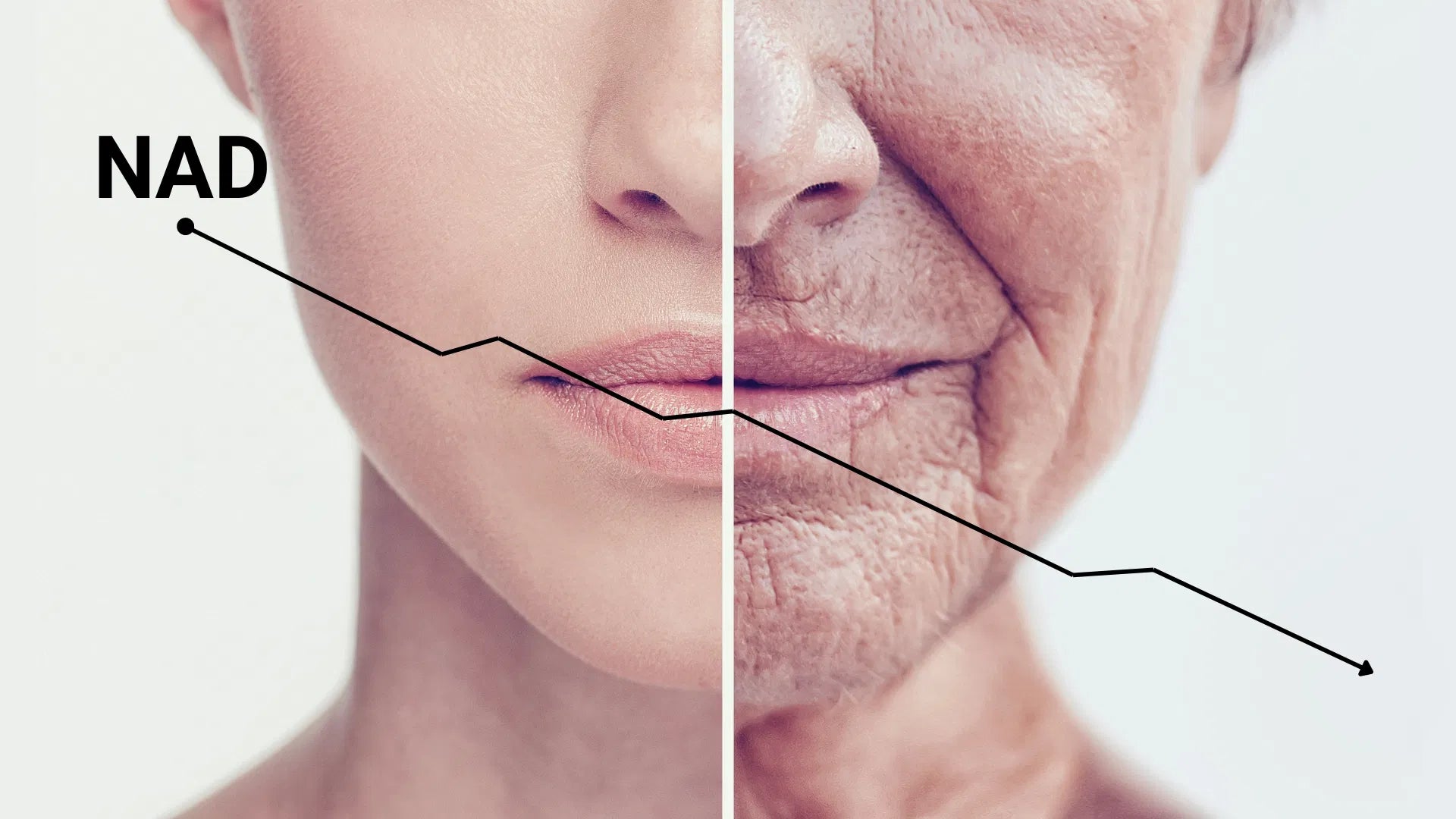 NAD+ Supplement: Boost Energy & Support Healthy Aging